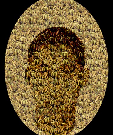 View Exhibit