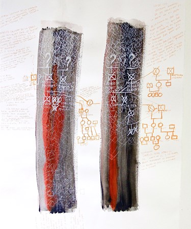 View Exhibit